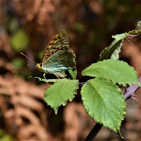 La Cabachuela Casa di campagna *