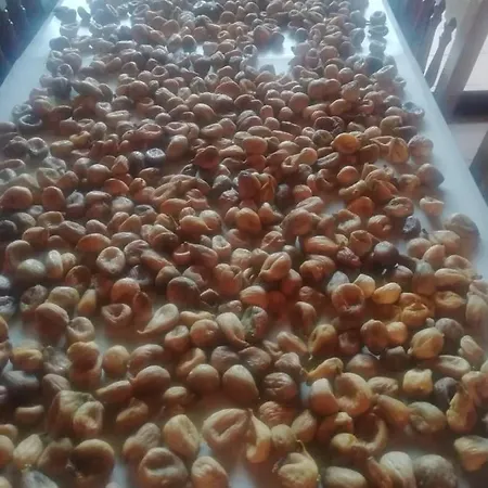 La Cabachuela Casa di campagna Casares de las Hurdes