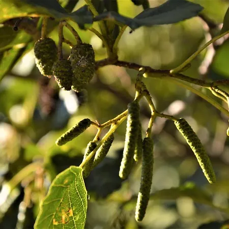 La Cabachuela Gospodarstwo wiejskie