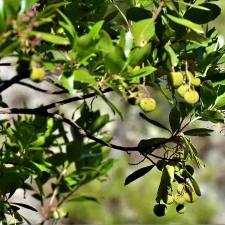 La Cabachuela Casa di campagna *