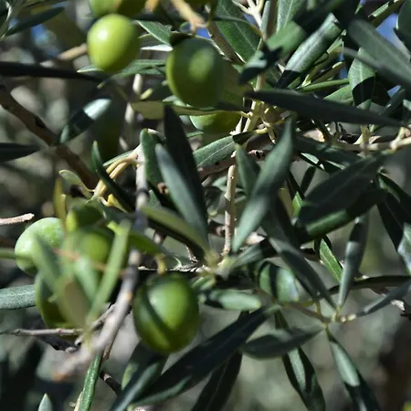 Casa di campagna La Cabachuela *