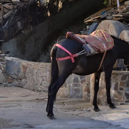 La Cabachuela Casa di campagna Casares de las Hurdes