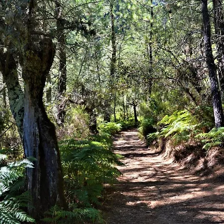 La Cabachuela