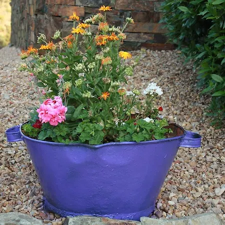 Casa di campagna La Cabachuela *