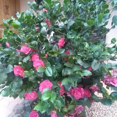 La Cabachuela Casares de las Hurdes