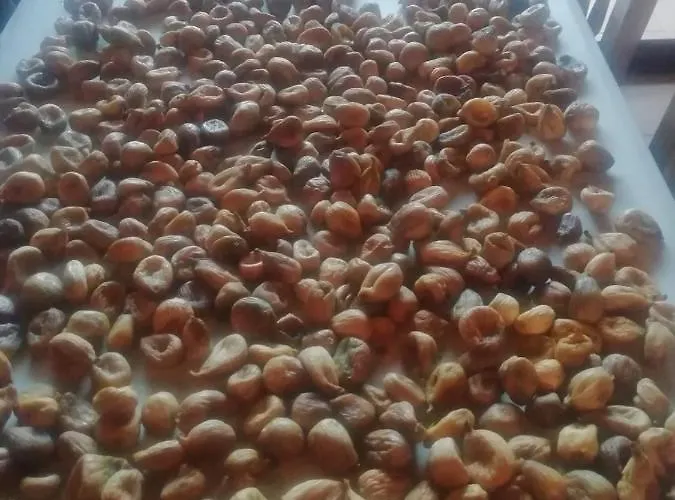 La Cabachuela Landhuis Casares de las Hurdes