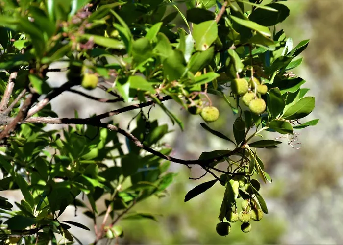 La Cabachuela Landhuis *