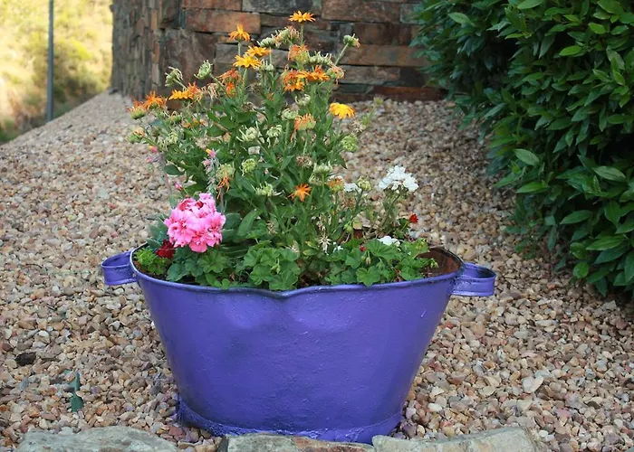 Landhuis La Cabachuela *